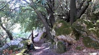 stello marchesa di Cassibile-10-02-2015 19-56-46